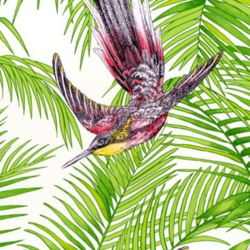Sunbird W6543-02